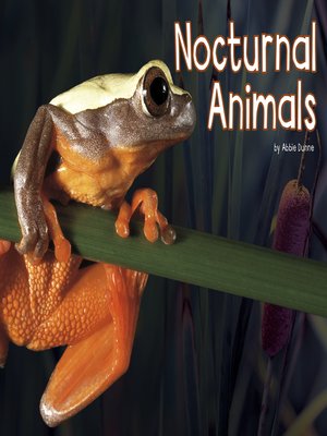 cover image of Nocturnal Animals